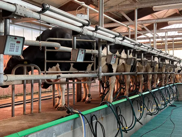 entreprise d'automatisme agricole