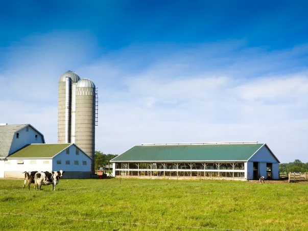 entreprise d'amengament de bâtiments agricoles